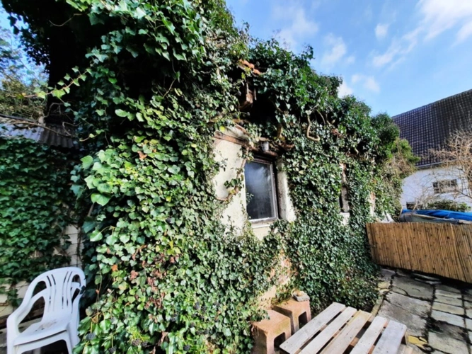Immobilienbild 3