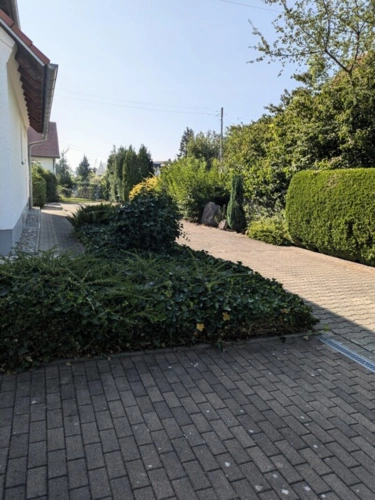 Immobilienbild 4
